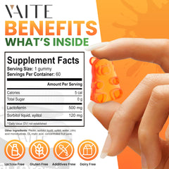 Ingredient panel for Lactoferrin 500mg gummies