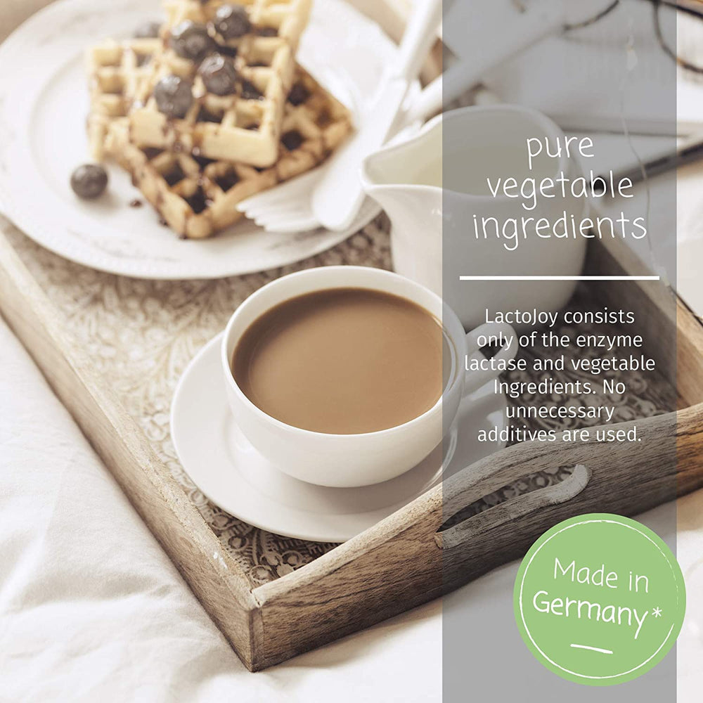 Vegan certified logo for LactoJoy