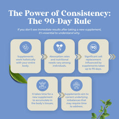 Digestive health supplement for men and women