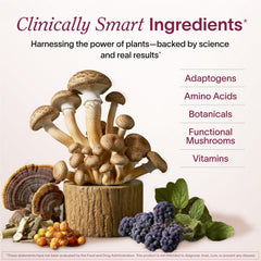 Ladywell illustration highlighting ashwagandha and B vitamins
