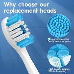 12-pack Lanveda brush heads packaging for Philips Sonicare