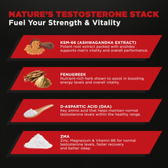 Leading Edge Health Testosil D-Aspartic Acid powder reveals key vitality ingredient.