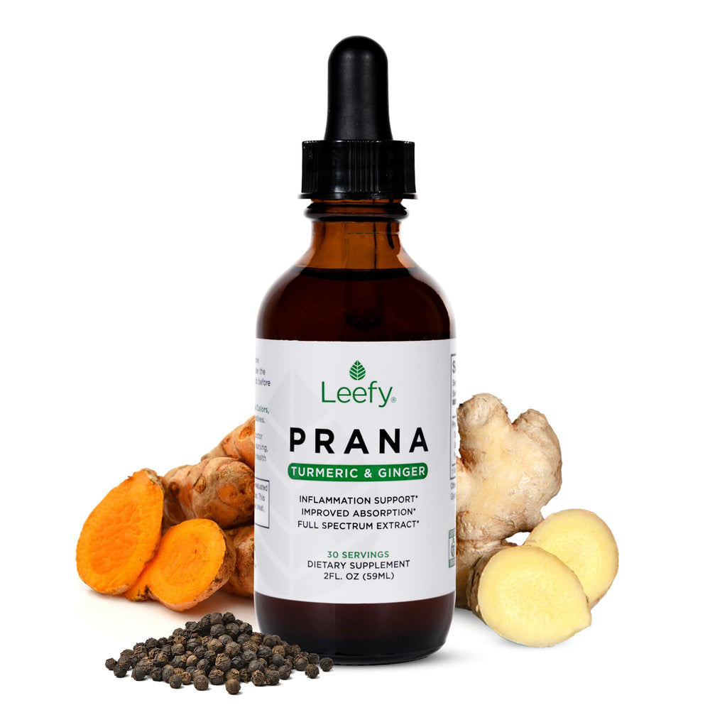 Leefy Organics PRANA organic liquid turmeric curcumin ginger extract bottle