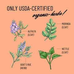 60 capsules bottle of Cash Cow lactation supplement