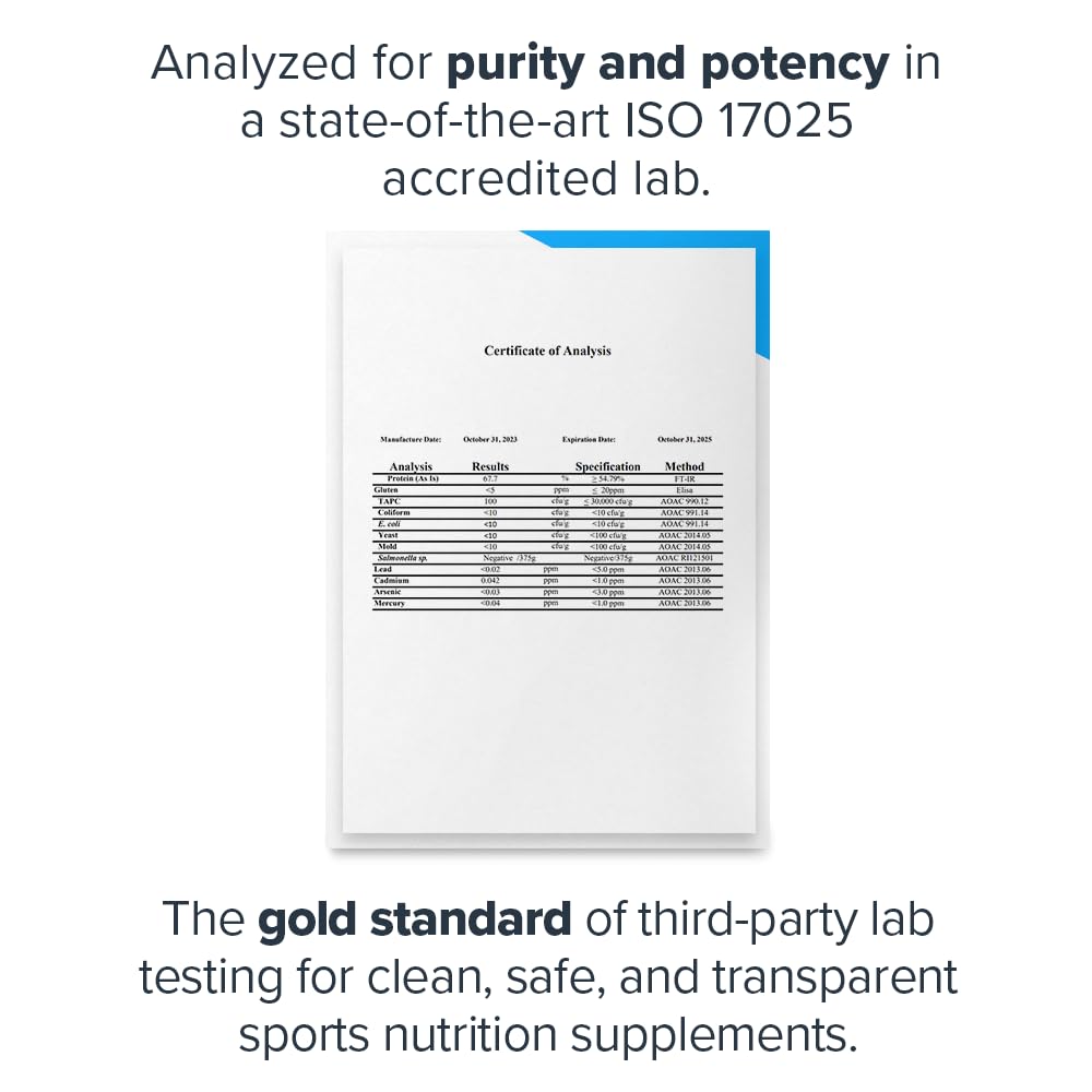 LEGION Plant+ Chocolate 20 servings container on kitchen counter.
