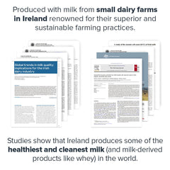 Legion protein bar ingredients close-up featuring prebiotic fiber