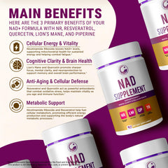 Lion's Mane mushroom for brain health and memory support