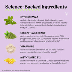 Green tea extract and vitamins supplement icons