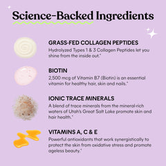 Ingredient highlights: collagen, biotin, vitamins and minerals