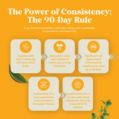 Digestive health benefits illustration with lemon balm extract