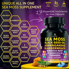 Close-up of 17-in-1 sea moss blend ingredients
