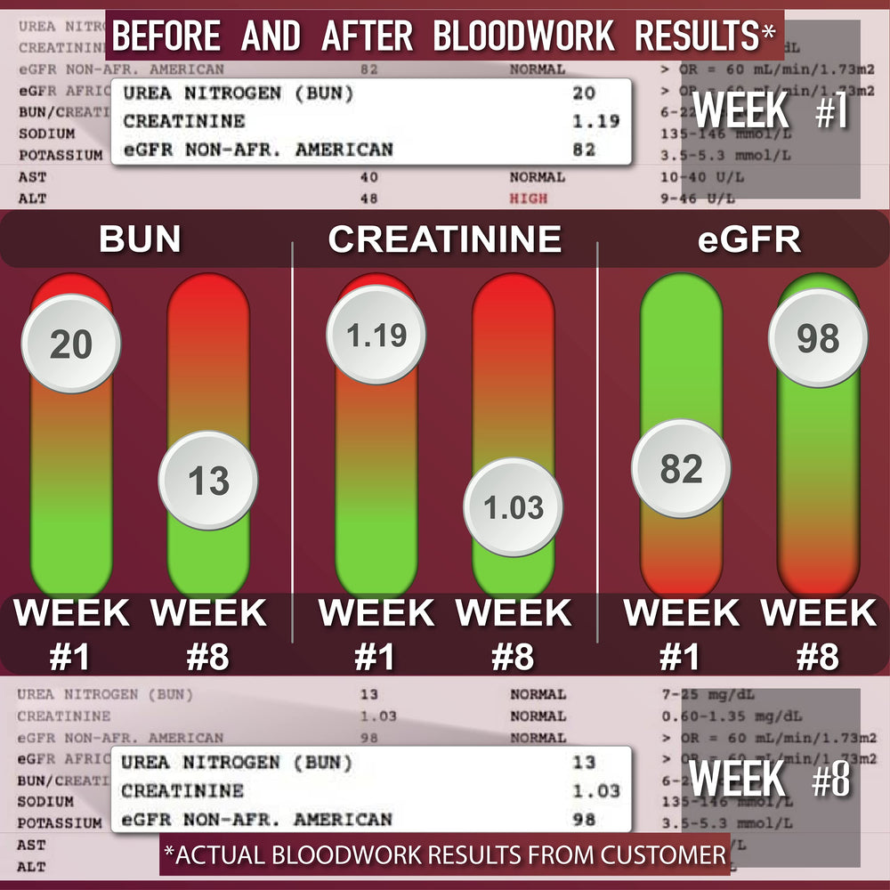 Leviathan Nutrition Super Kidney Cleanse bottle pour demonstrates convenient daily dosing for kidney care
