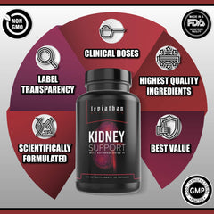 Leviathan Nutrition Super Kidney Cleanse capsules in hand suggest portable kidney and gallbladder support