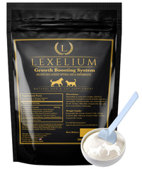 Lexelium weight gainer powder tub showing growth-support formula for puppies and kittens