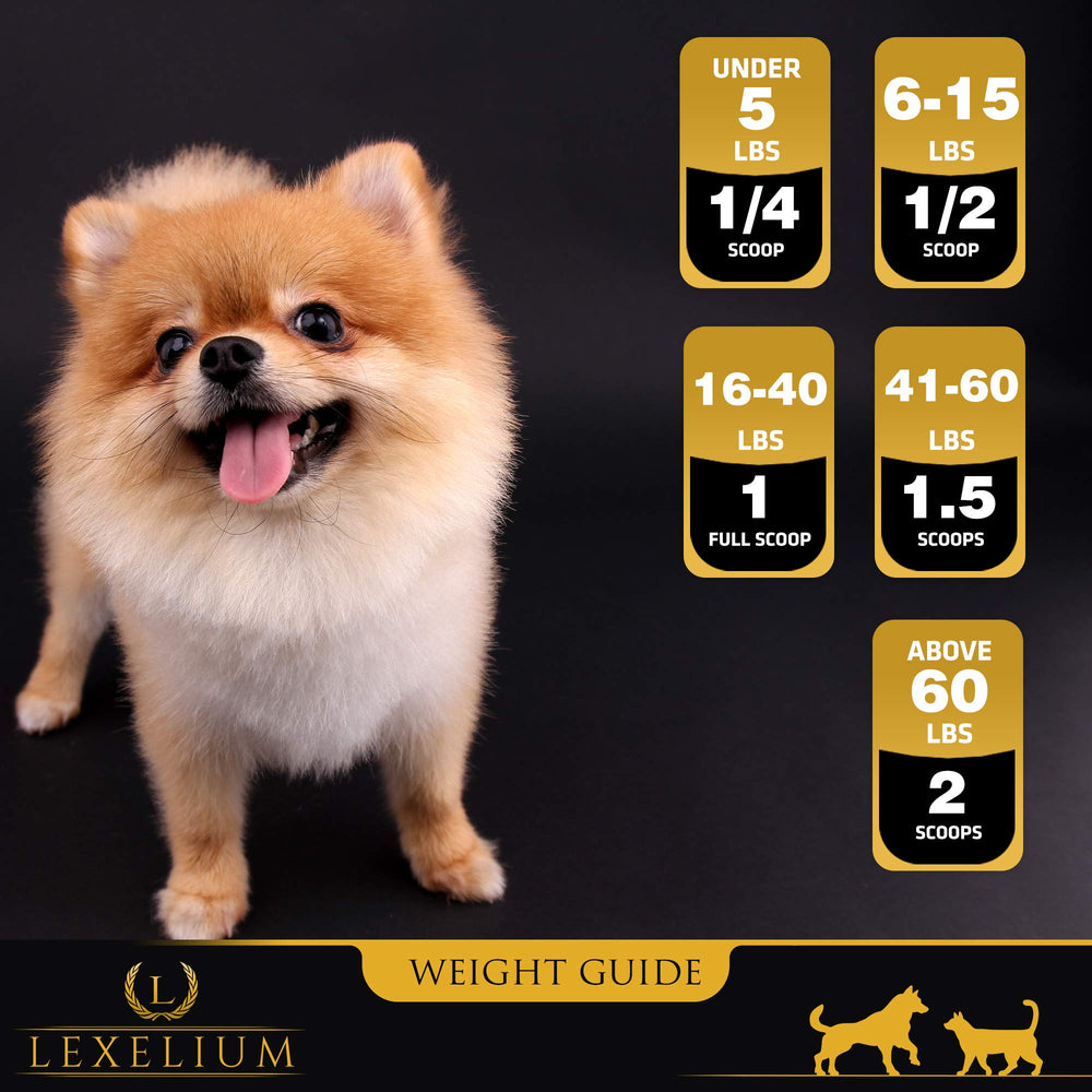 Lexelium weight gainer setup for training or show-ready pets