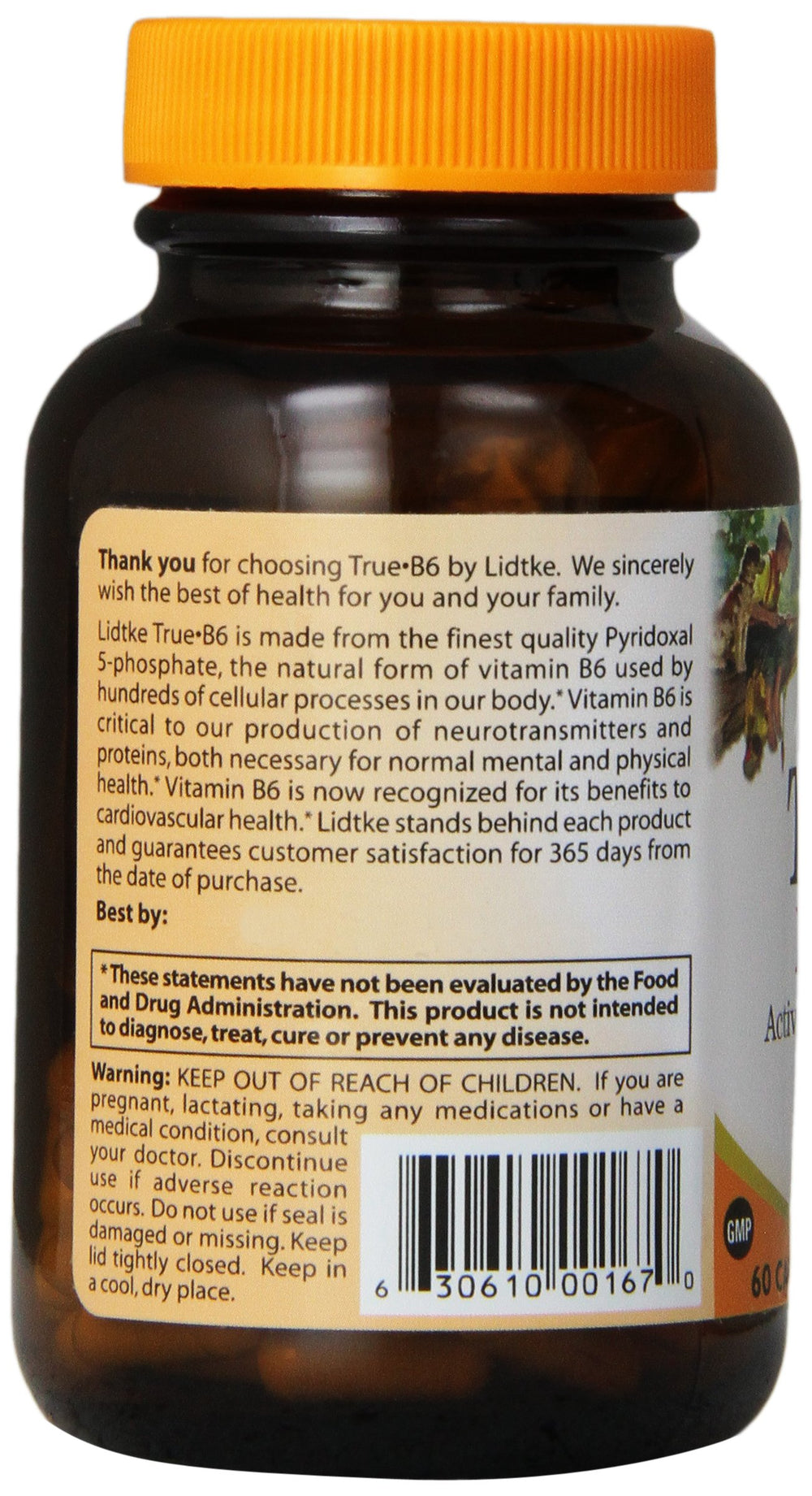 Close-up of Lidtke True B6 Capsules bottle label