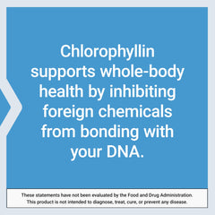 DNA health infographic for chlorophyllin