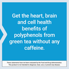 Green tea leaves and brain-heart-health concept imagery
