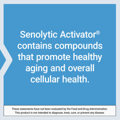 Vegetarian capsules and packaging