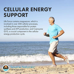 Brain health support with choline, thiamin, CoQ10, and B vitamins