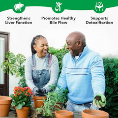 Milk Thistle and Artichoke ingredients