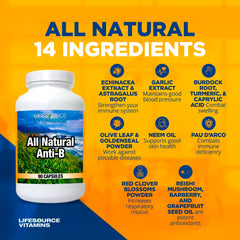Close-up of echinacea, astragalus and garlic ingredients used in Anti-B immune capsules