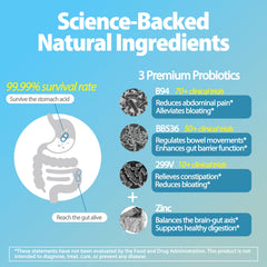 Bifidobacterium lactis B94 probiotic strain