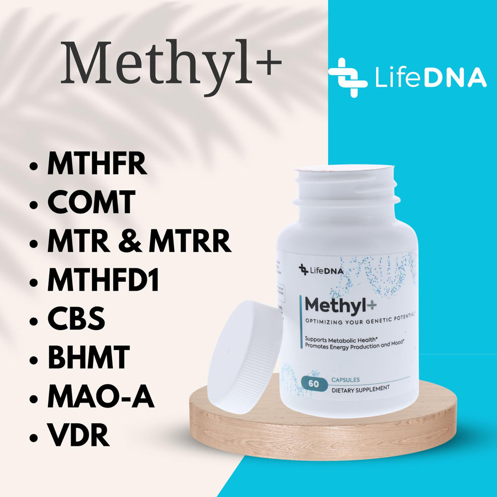 DNA methylation concept illustration