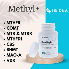 DNA methylation concept illustration