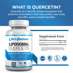 Illustration of liposomal delivery technology for quercetin absorption