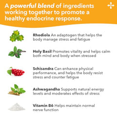 LifeSeasons Adrenal-T bottle with packaging