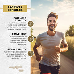 Lifestyle image of Sea Moss capsules for daily health