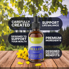 Lifestyle use of mullein drops for respiratory health
