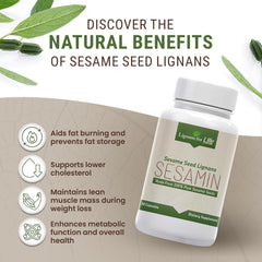 Lignans For Life sesame extract hormone balance scene highlights natural support