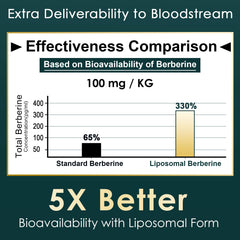 Close-up of Ceylon Cinnamon used in LILICARE Berberine gummies