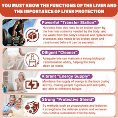 LILICARE berberine-artichoke-dandelion ingredients image shows key liver-supporting components.