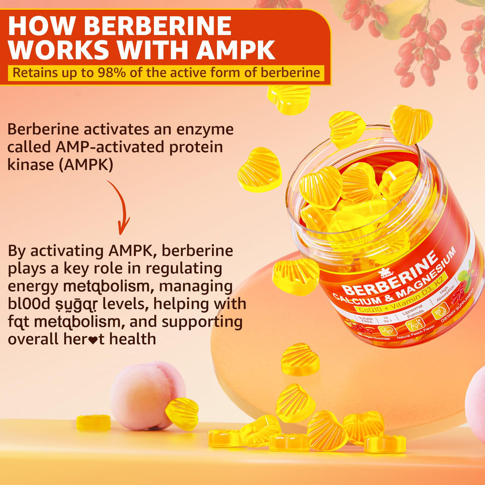 Supplement panel showing Berberine, CoQ10, magnesium, calcium and zinc icons