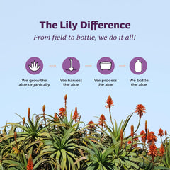 Lily Of The Desert packaging shows USA import and a clean formula for mindful hydration.