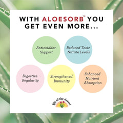 Lifestyle image featuring Lily of the Desert Aloe Vera Juice