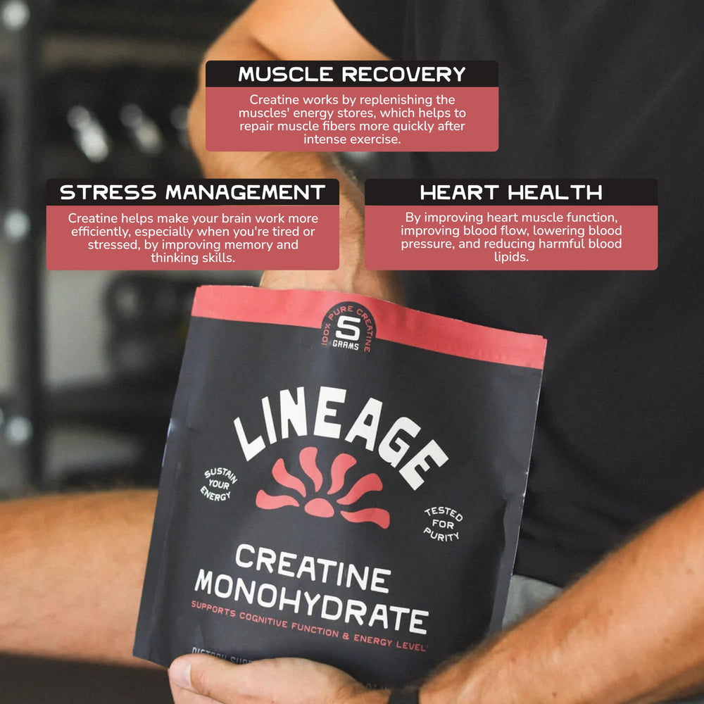 Ingredients panel: micronized creatine monohydrate with sea salt