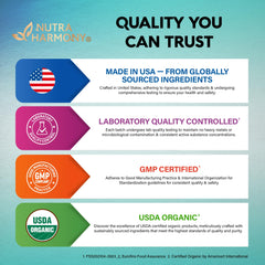 Brain health benefits graphic for Lion's Mane