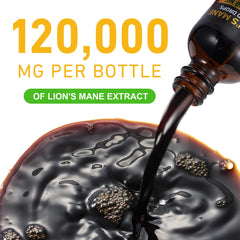 Plant extract ingredients overview for Lion's Mane drops