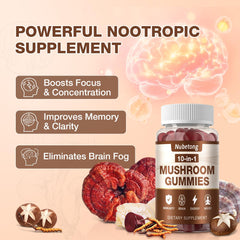 Mushrooms including Lion's Mane, Reishi, Chaga and Turkey Tail