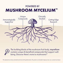 Illustration of Lion's Mane, Reishi, Cordyceps with B vitamins and choline
