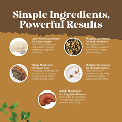 Lions Mane with Reishi for immune support