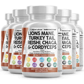 Lions Mane 20in1 mushroom blend capsules