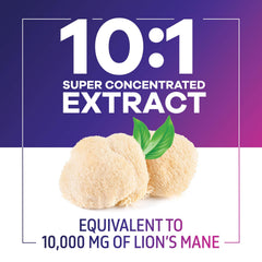 Close-up of Lions Mane capsules and powder extract