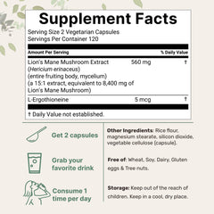 Lion's Mane with L-Ergothioneine 15:1 extract concept image.
