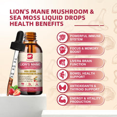 Lion's Mane extract 10:1 and supporting mushroom ingredients