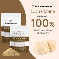 Organic lion's mane extract powder